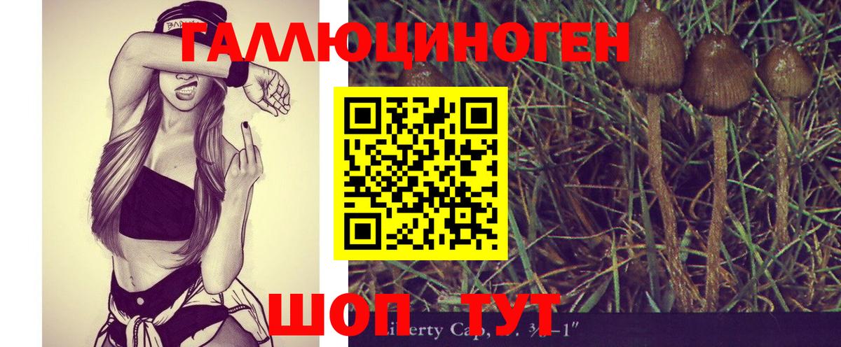 Уфа  Псилоцибиновые грибы Cubensis  Галлюциногенные грибы Psilocybine cubensis  Вход с VPN 