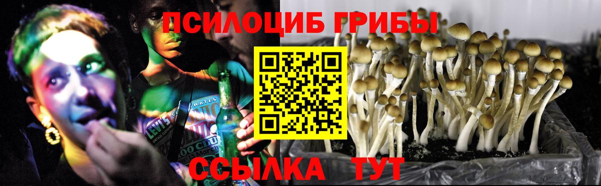 Псилоцибиновые грибы мицелий Уфа